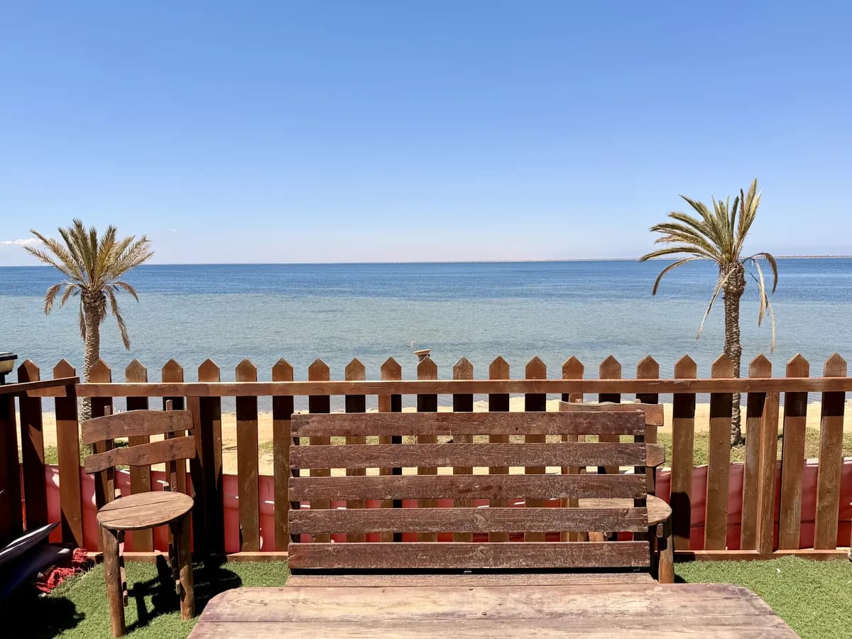 Terrasse face à la mer avec banc en bois et palmiers